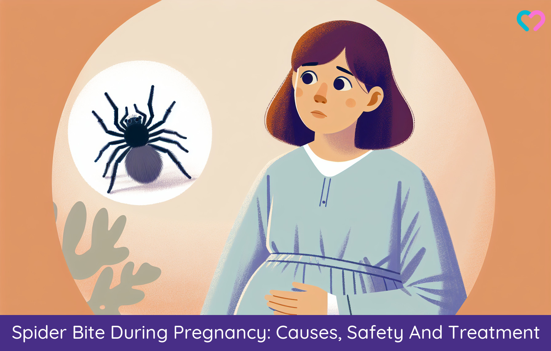 Spider Bite When Pregnant_illustration