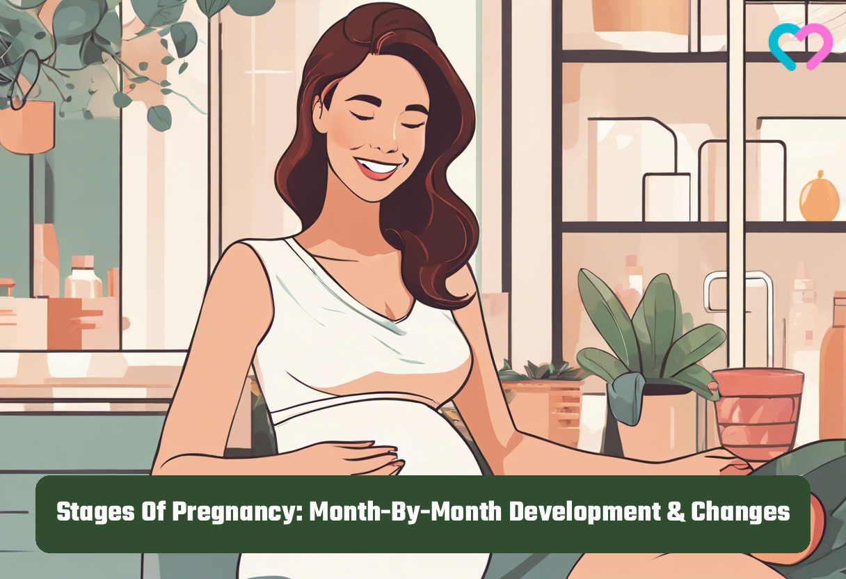 Stages Of Pregnancy_illustration