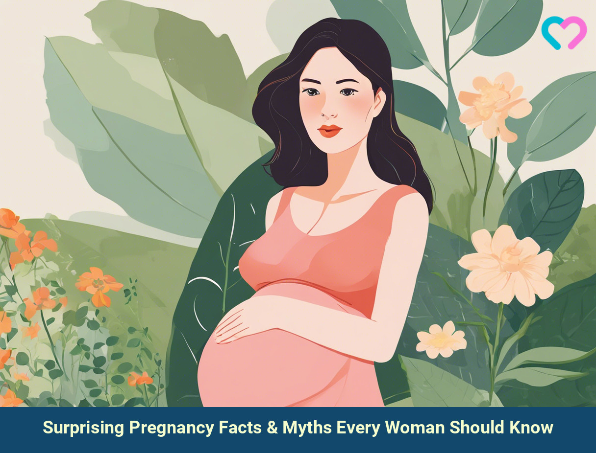 Pregnancy Facts_illustration