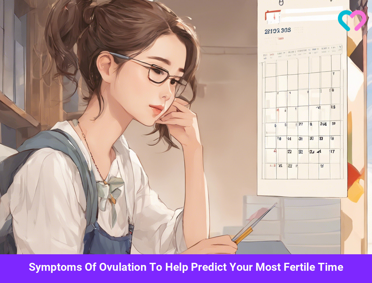 ovulation symptoms_illustration