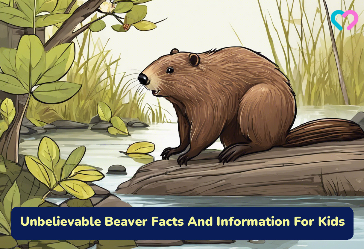 Beaver Facts for Kids_illustration
