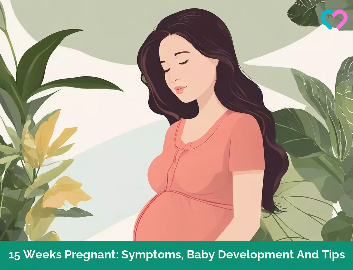 15th Week Pregnancy_illustration