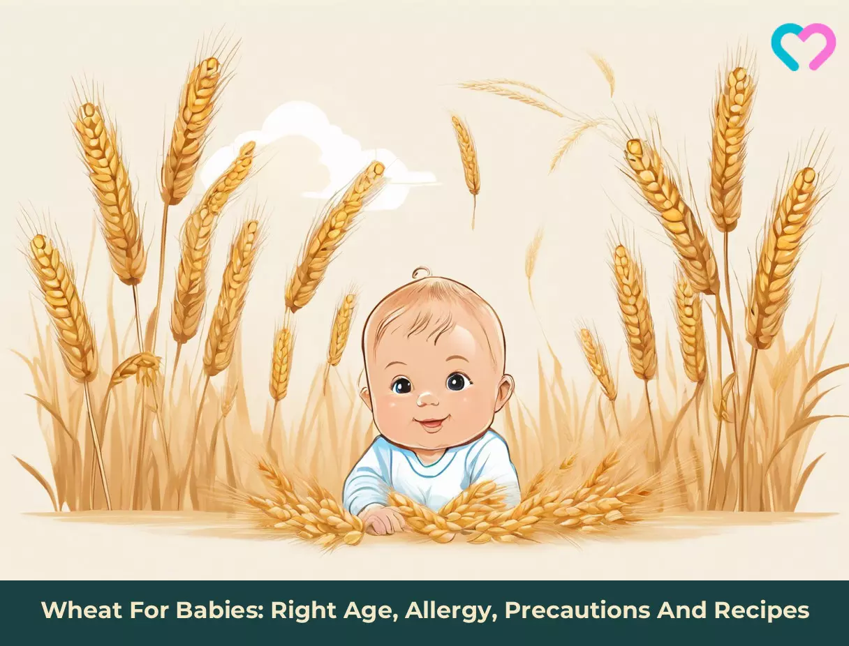 wheat for babies_illustration
